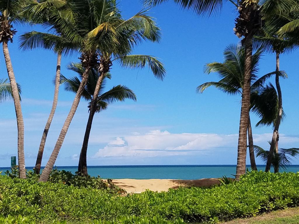 Beachfront Villa In The Rio Mar Resort リオ・グランデ エクステリア 写真